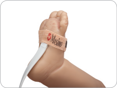 Masimo Rad-G Disposible Adhesive Sensors